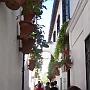 ruelle fleurie de Cordoue, quartier des juifs